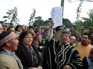 izamiento de bandera mapuche en saavedra