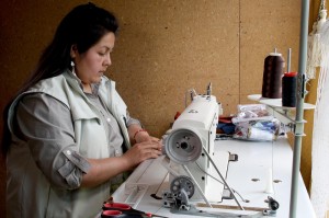 emprendimientos mapuches